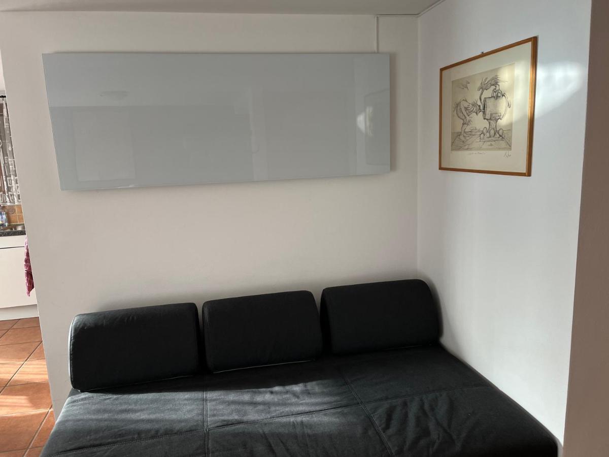 Green View Apartments Tenero-Contra Dış mekan fotoğraf
