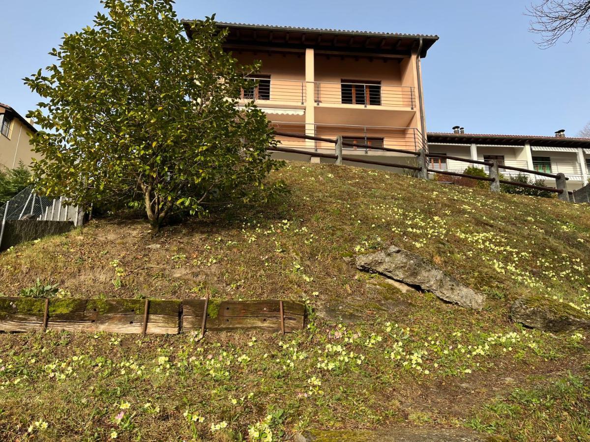 Green View Apartments Tenero-Contra Dış mekan fotoğraf